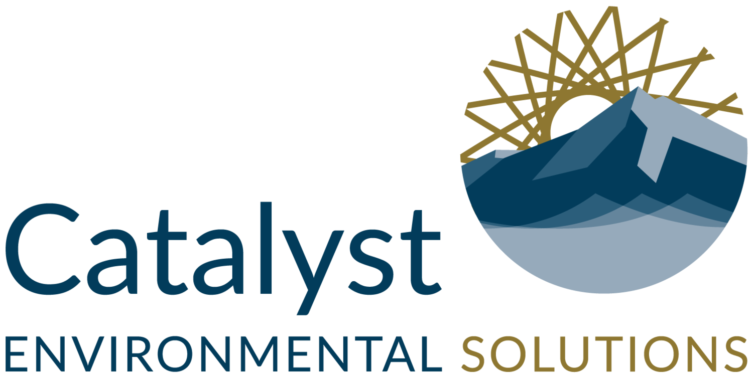 Catalyst Environmental Solutions