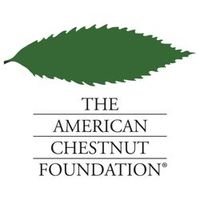 American Chestnut Foundation